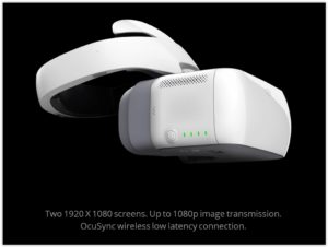 DJI Goggles