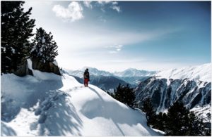 Snow Wanderer